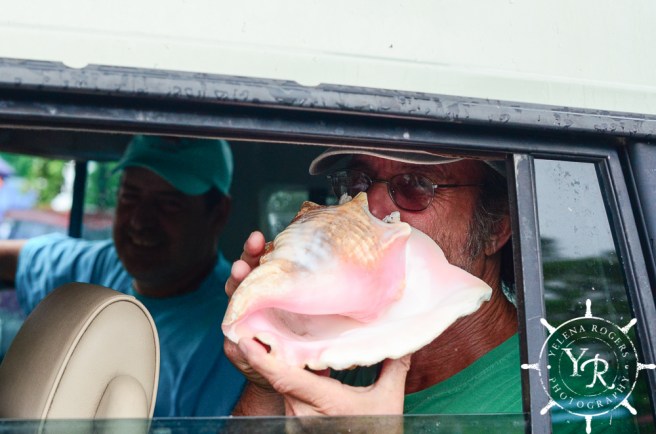 Family Photographer, Wedding Photographer