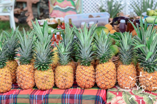 Family Photographer, Wedding Photographer