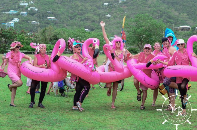 Family Photographer, Wedding Photographer