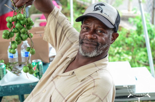 Family Photographer, Wedding Photographer