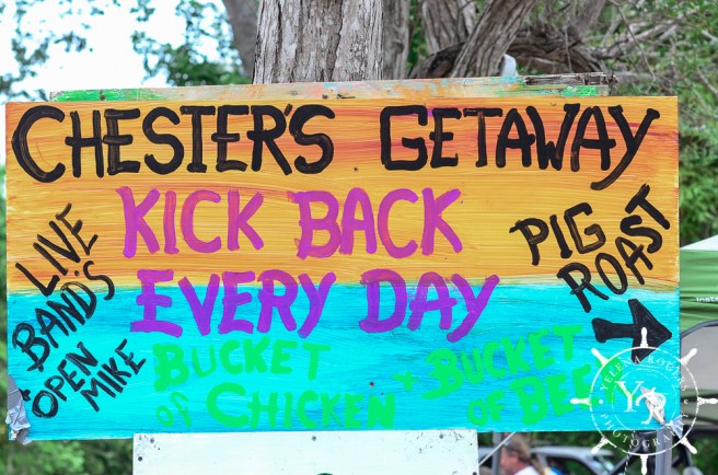 Family Photographer, Wedding Photographer