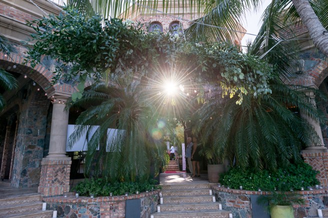 Family Photographer, Wedding Photographer