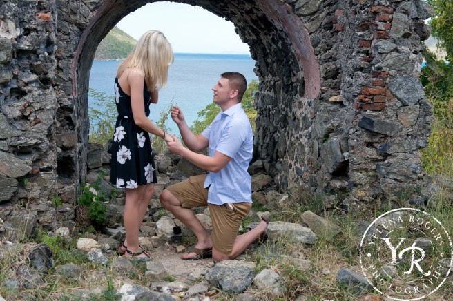 Family Photographer, Wedding Photographer