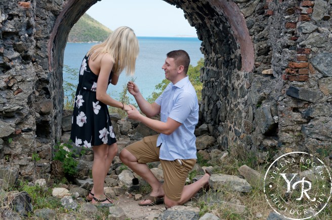 Family Photographer, Wedding Photographer