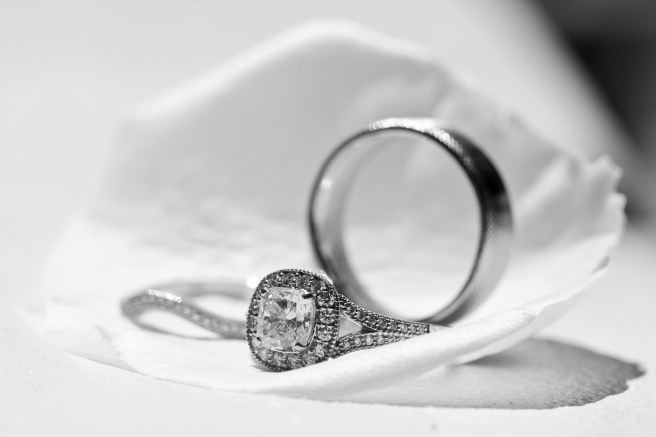 Family Photographer, Wedding Photographer